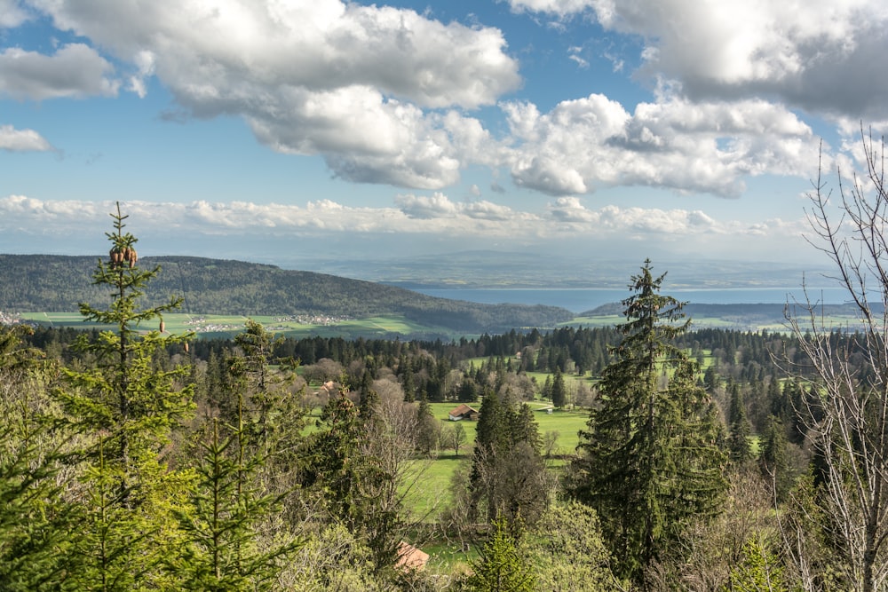 a scenic view of a forest with a lake in the distance