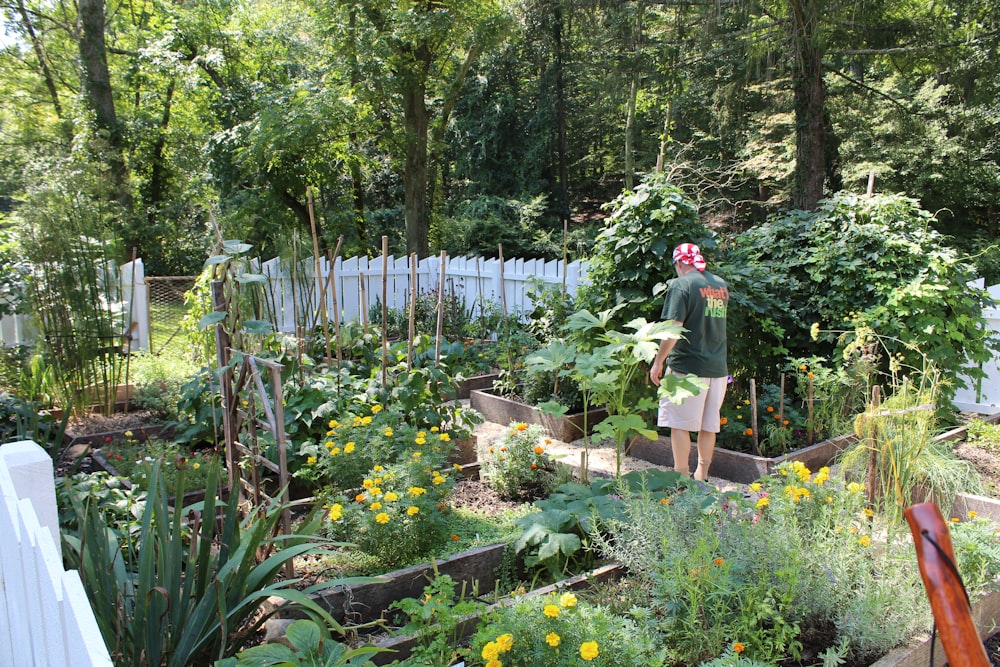 a man standing in a garden filled with lots of plants