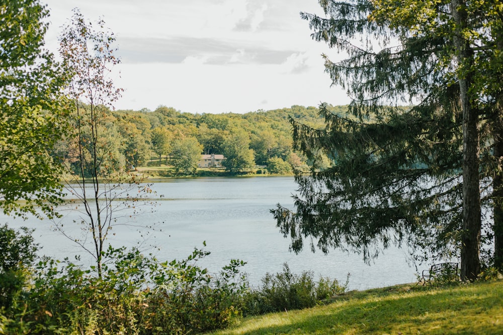 a large body of water surrounded by trees