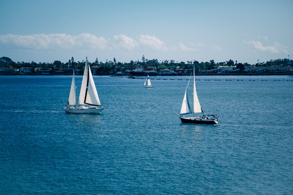 a couple of sail boats floating on top of a large body of water
