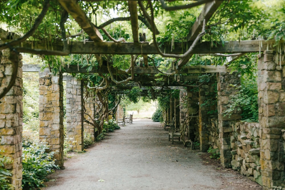 a stone walkway with a bench under a tree