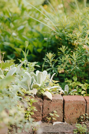 a cat sitting on top of a brick wall in a garden