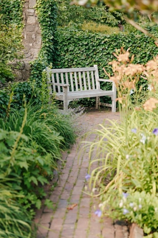 a white bench sitting next to a lush green hedge