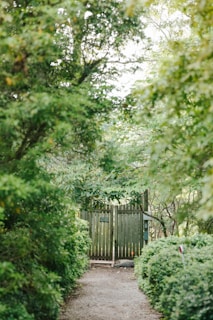 a path leading to a gate in the woods