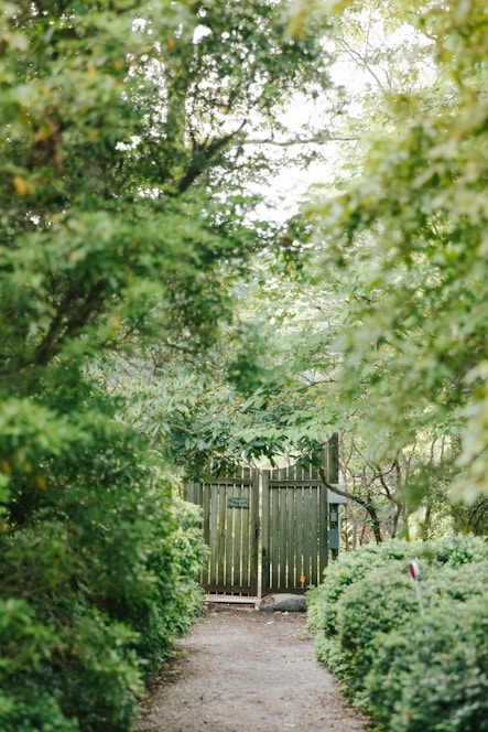 a path leading to a gate in the woods