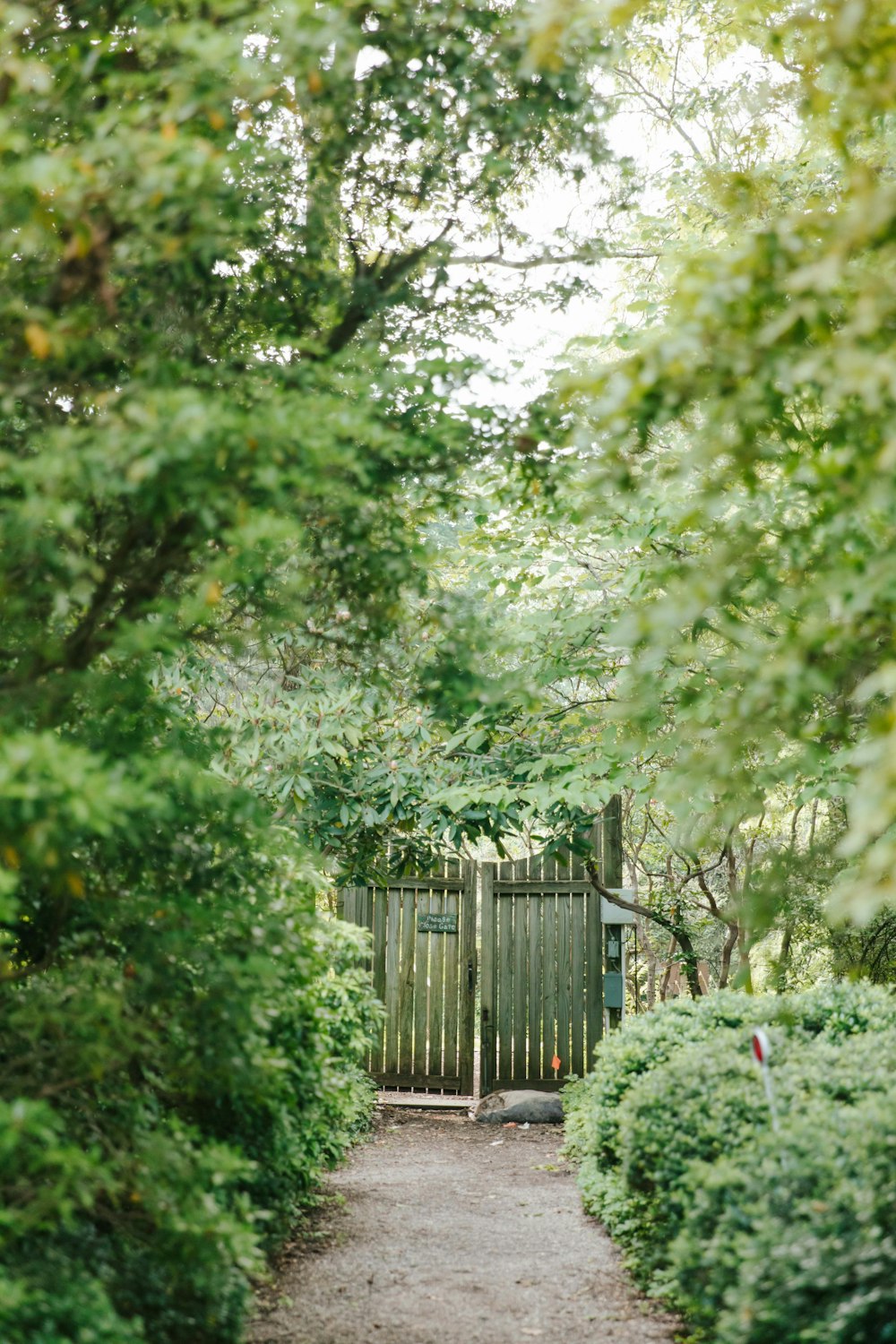 um caminho que leva a um portão na floresta