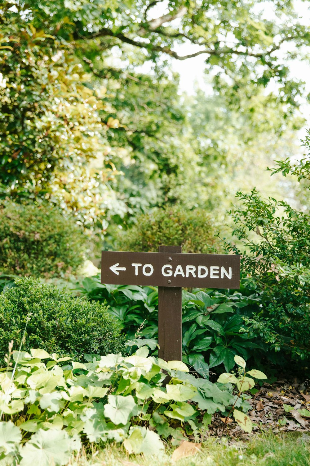 a sign pointing to the right in a garden