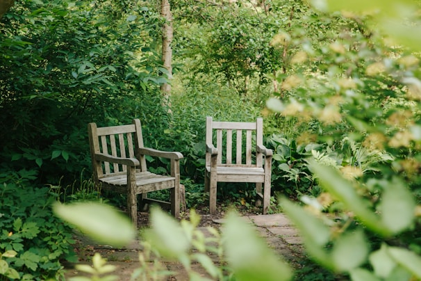 two wooden chairs sitting next to each other in a forest