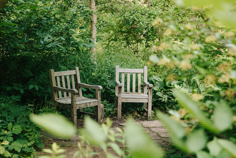 two wooden chairs sitting next to each other in a forest