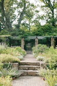 a stone path leading to a garden with lots of greenery