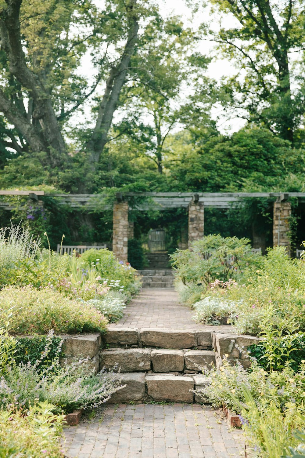 a stone path leading to a garden with lots of greenery