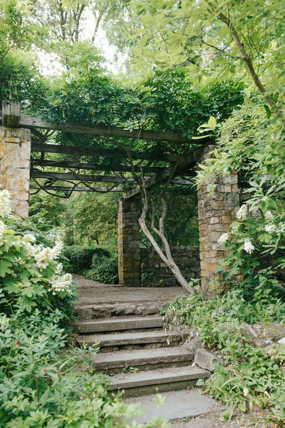 a set of steps leading up to a pergolated area