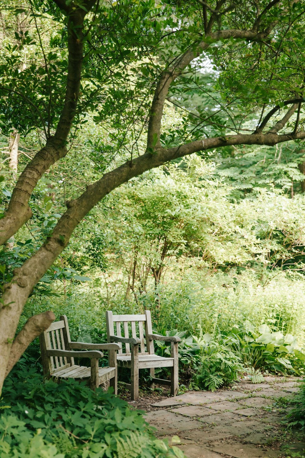 a couple of wooden chairs sitting under a tree