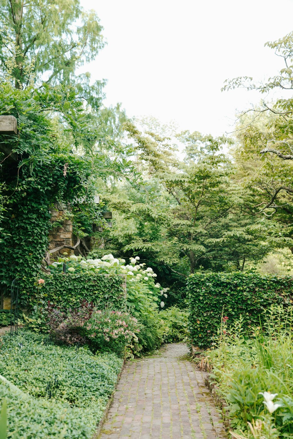 a brick path through a garden with lots of greenery