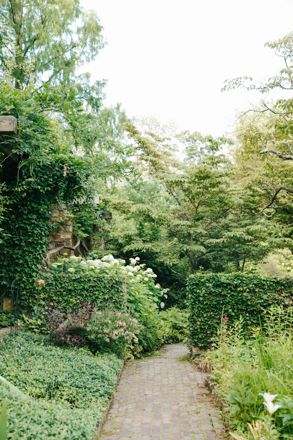 Beautiful garden path by Zenith Landscape Solutions