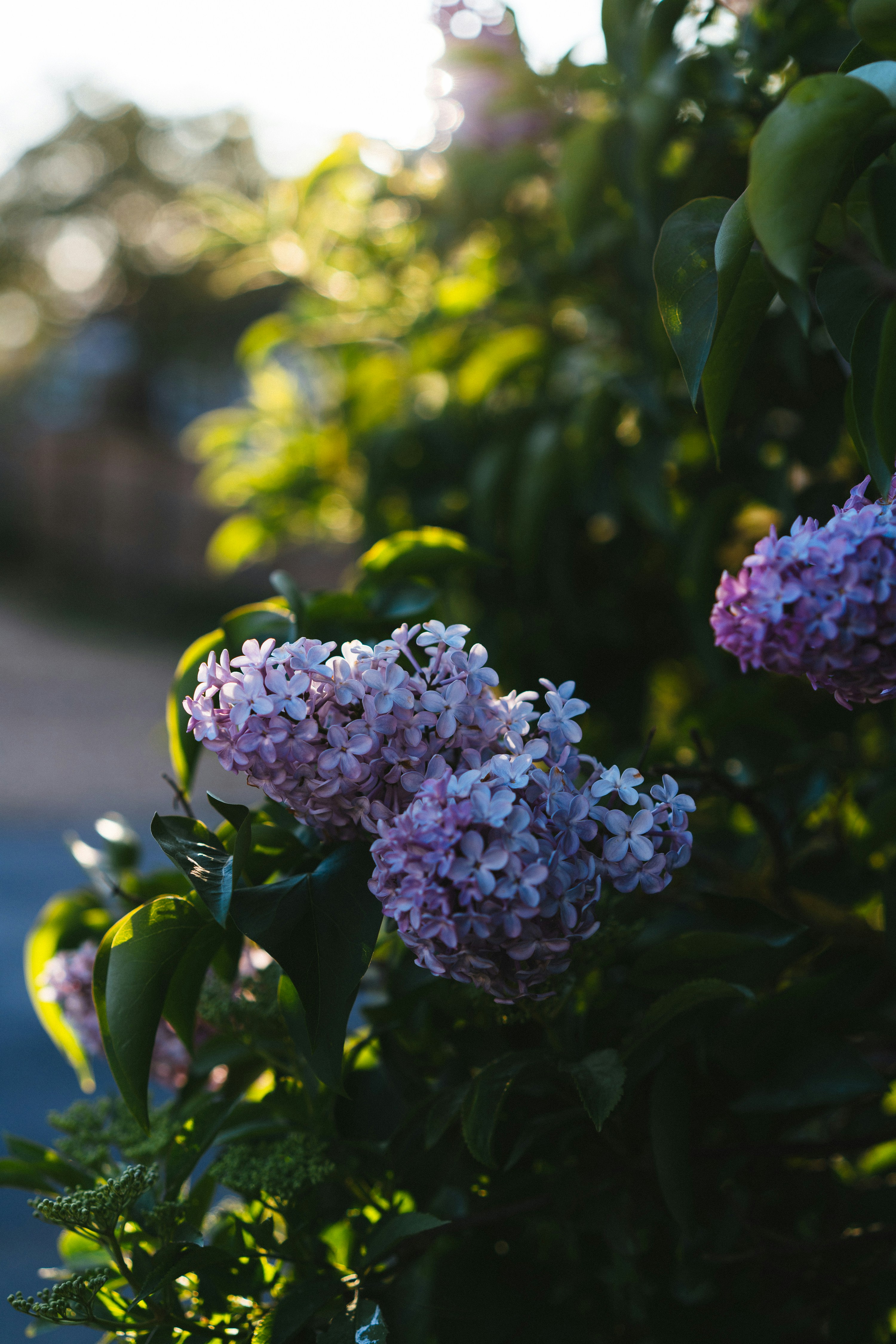 Photo by philhearing