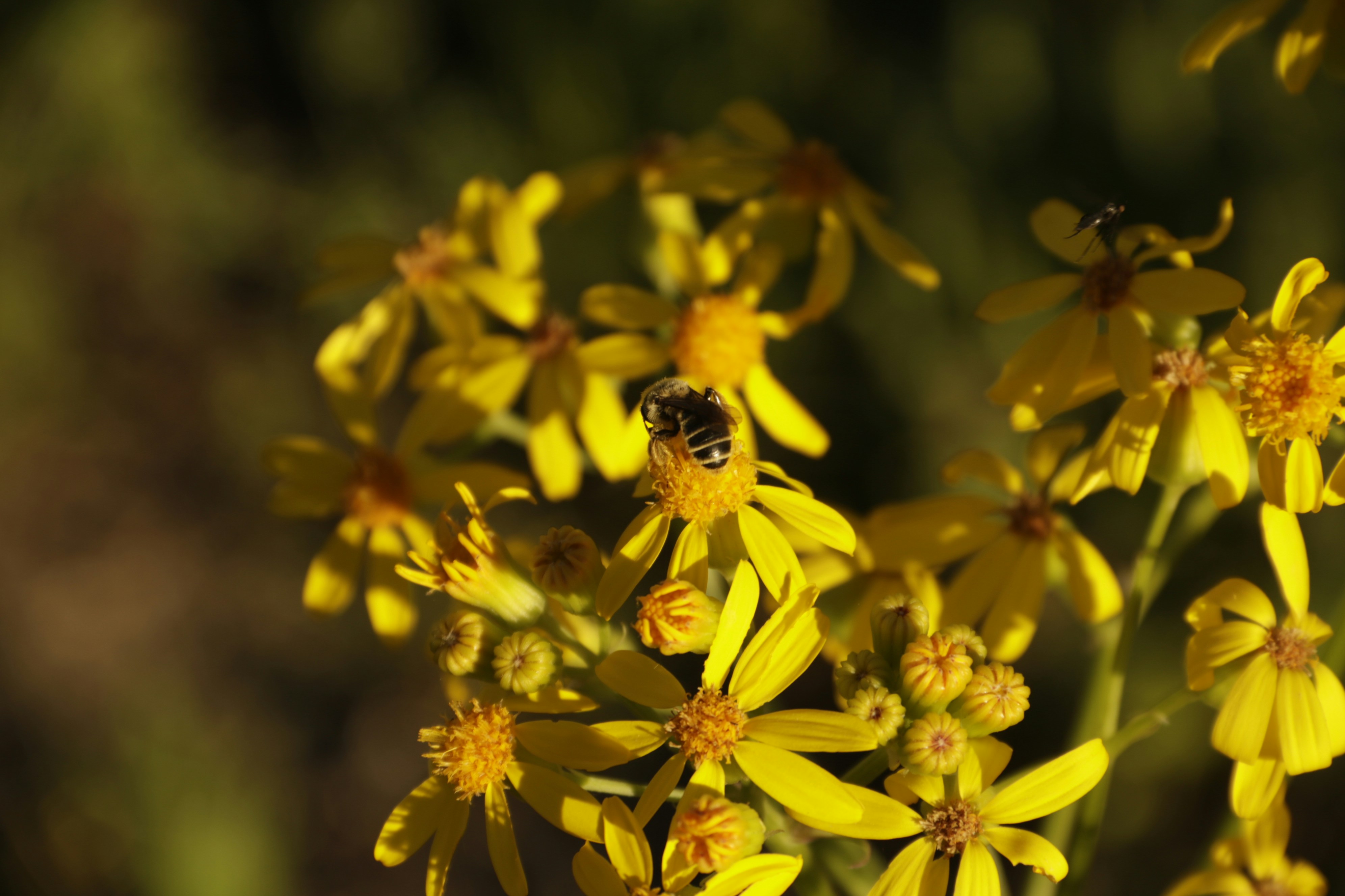 Photo by bellerod123