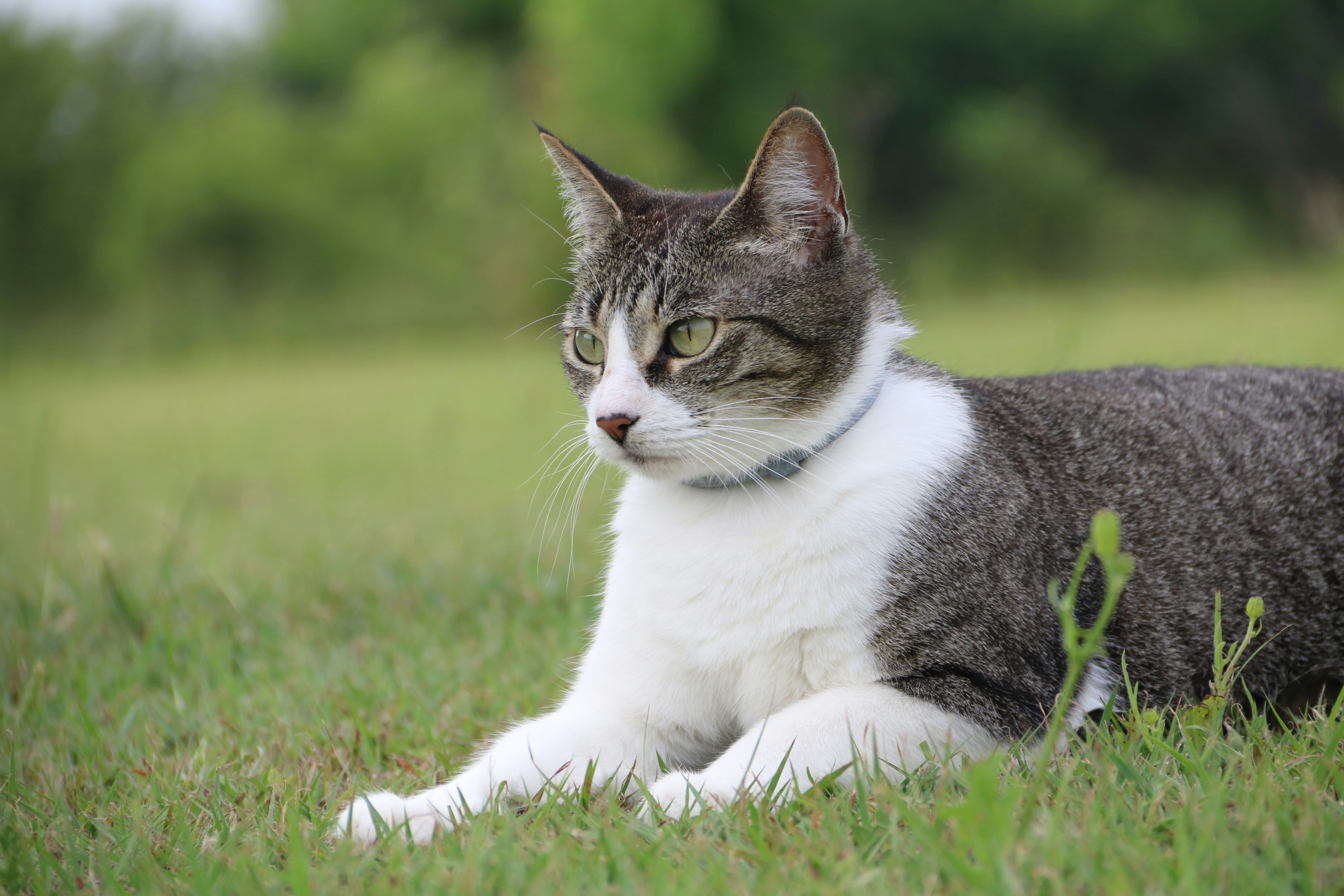 Photo by bellerod123