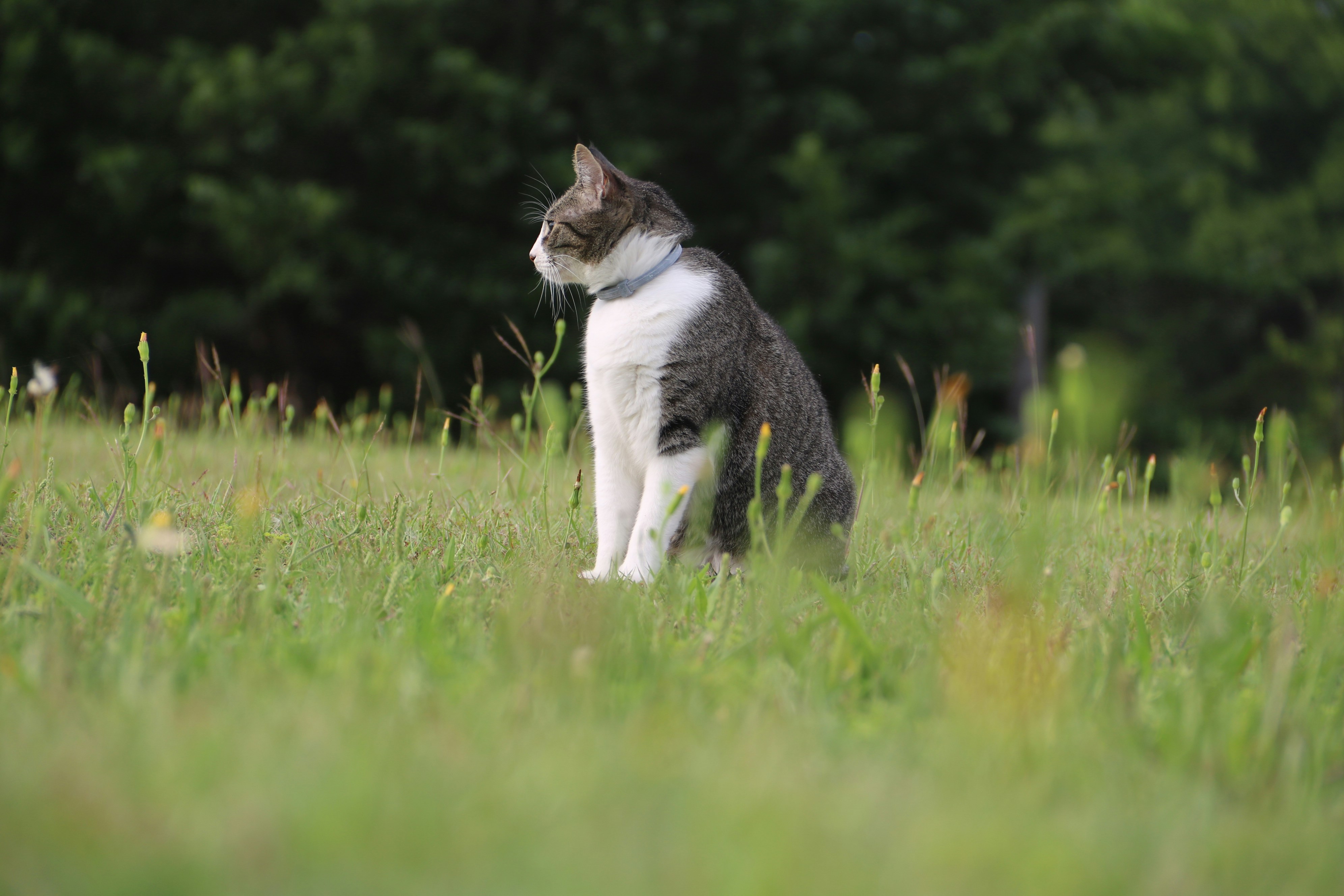 Photo by bellerod123