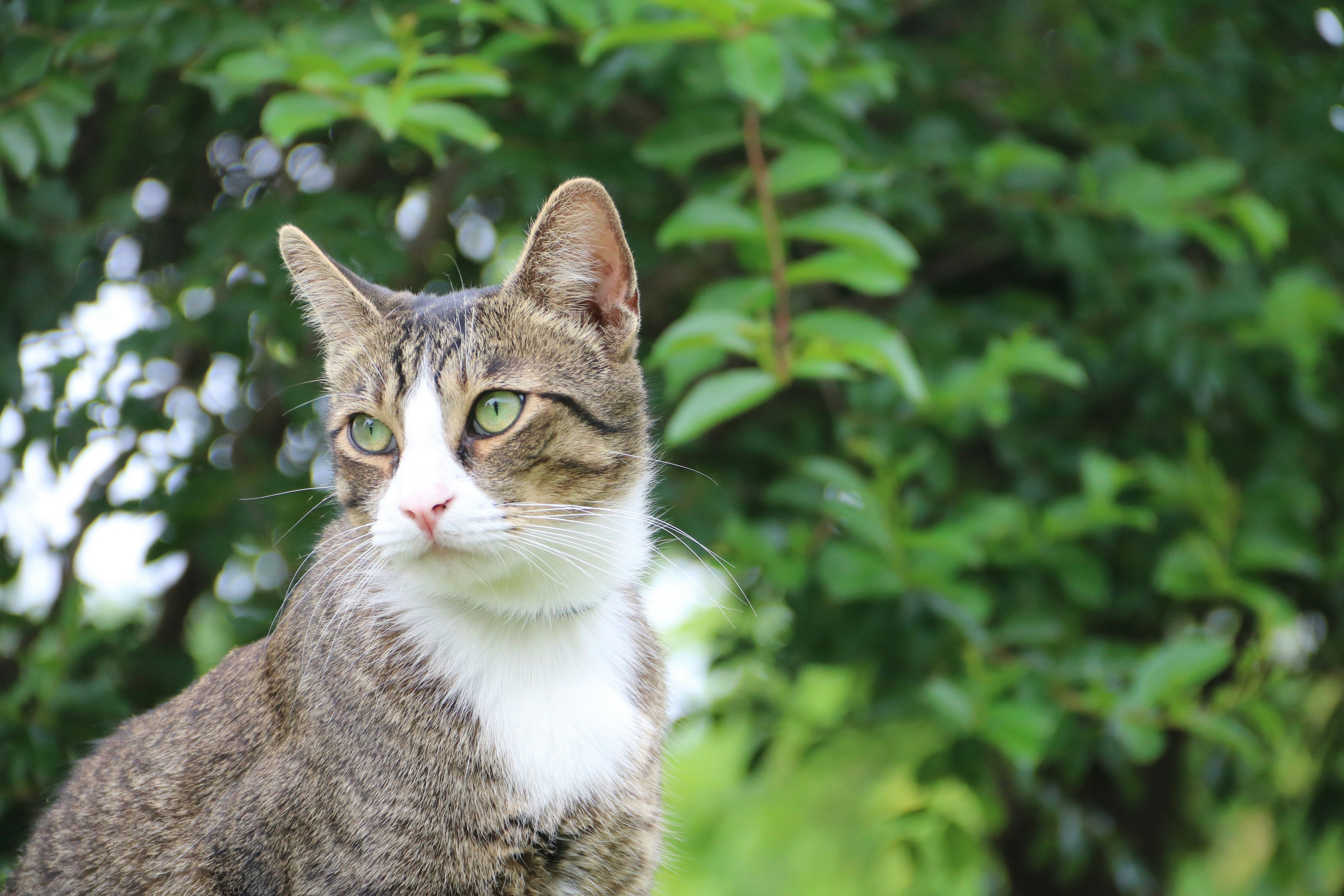 Photo by bellerod123