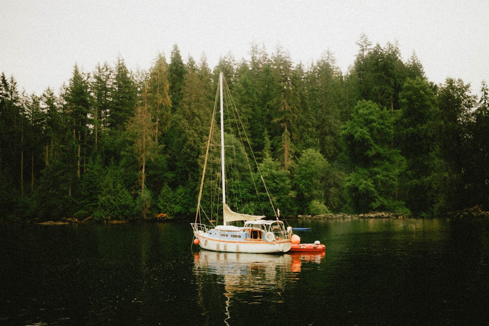 a sailboat floating on top of a lake next to a forest