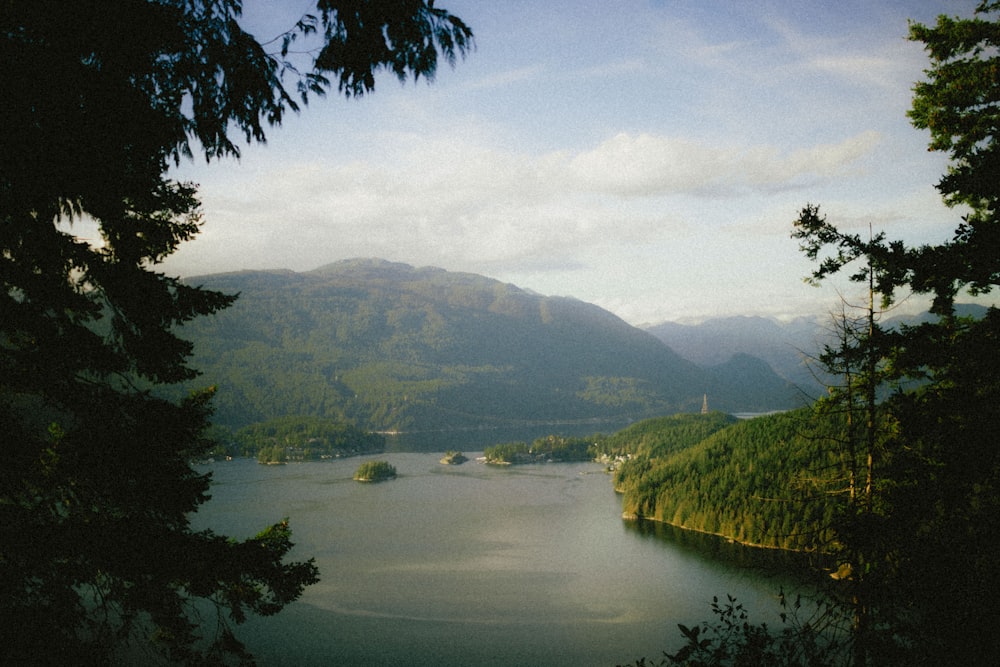 a body of water surrounded by trees and mountains