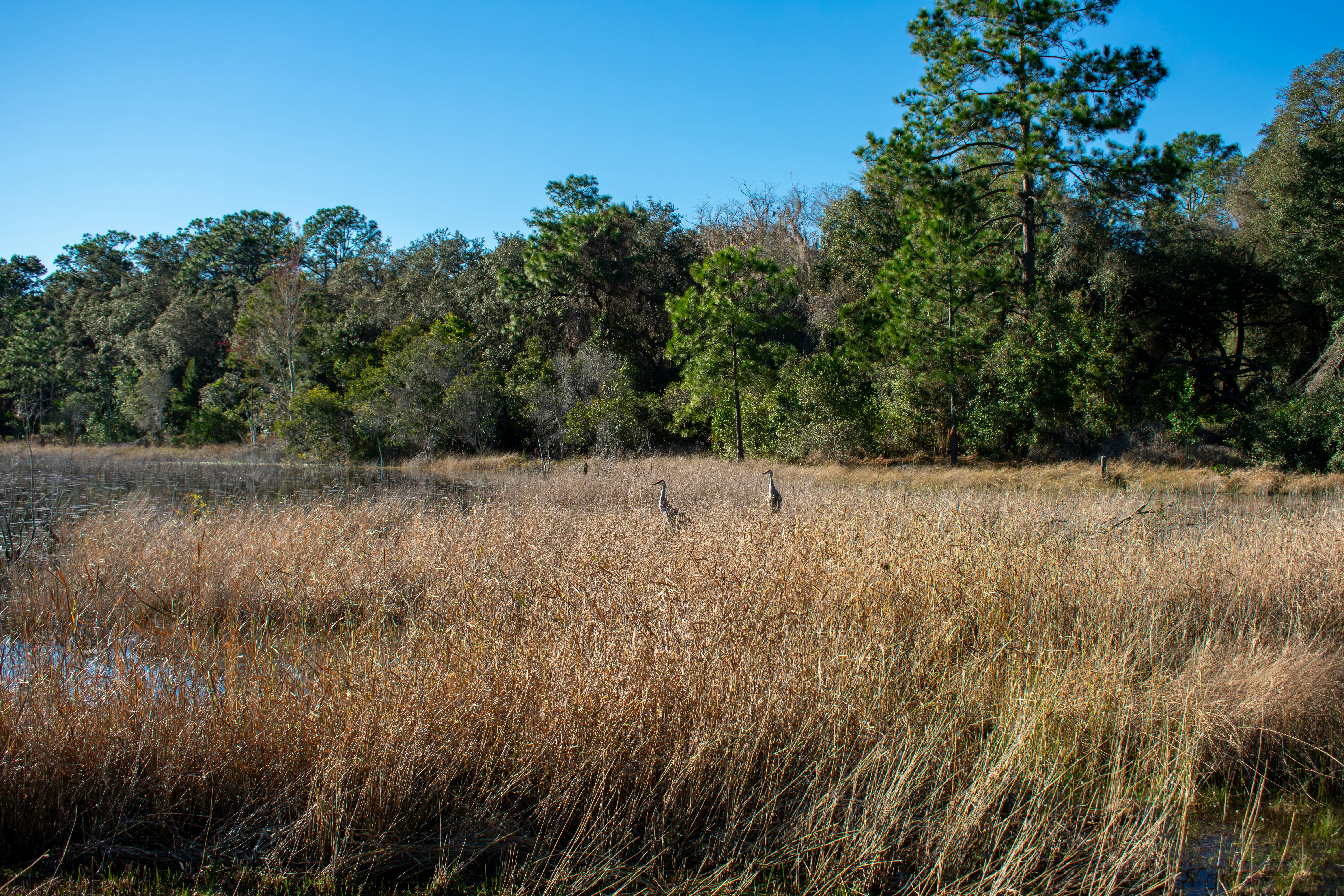 Photo by astro_civil