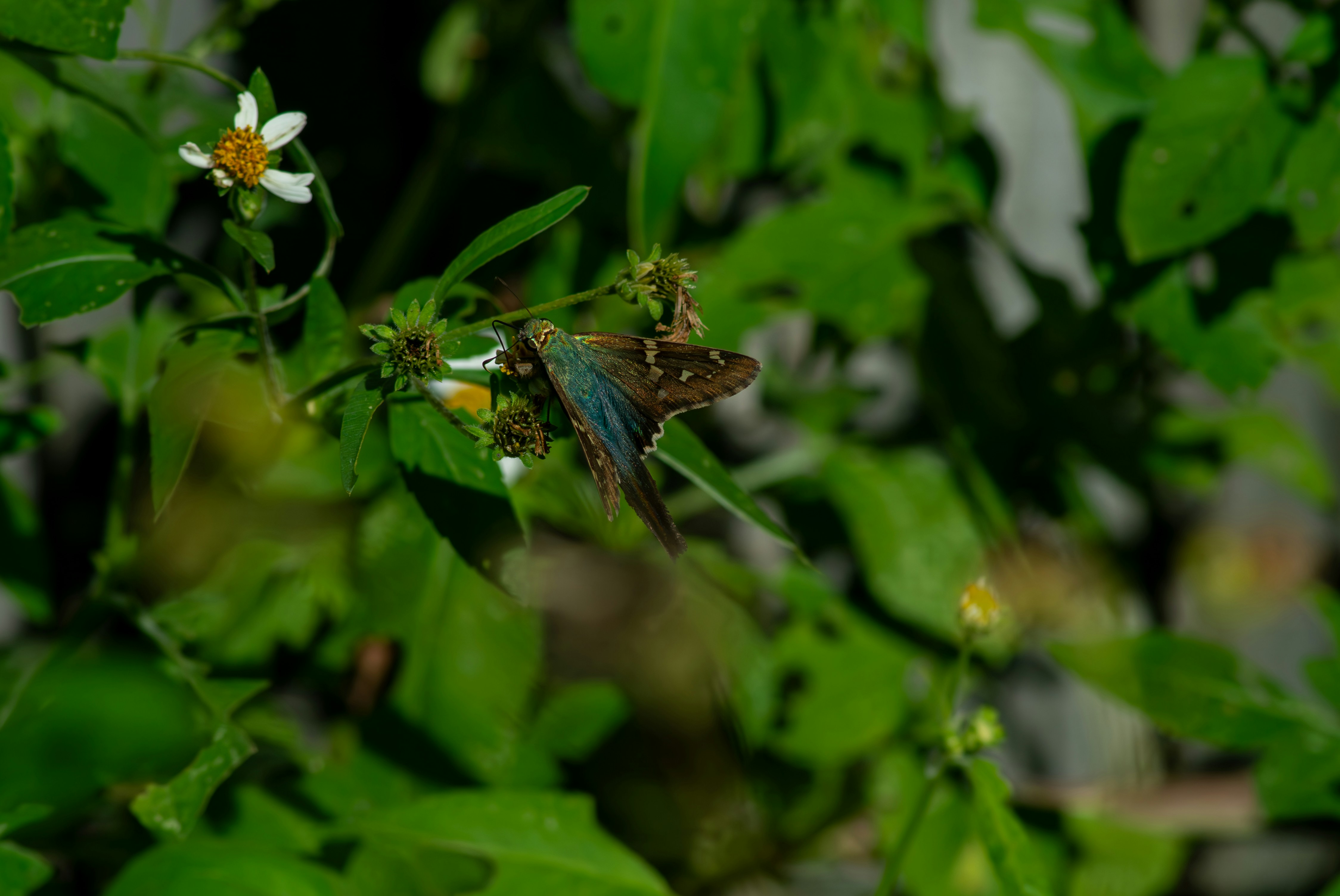 Photo by astro_civil