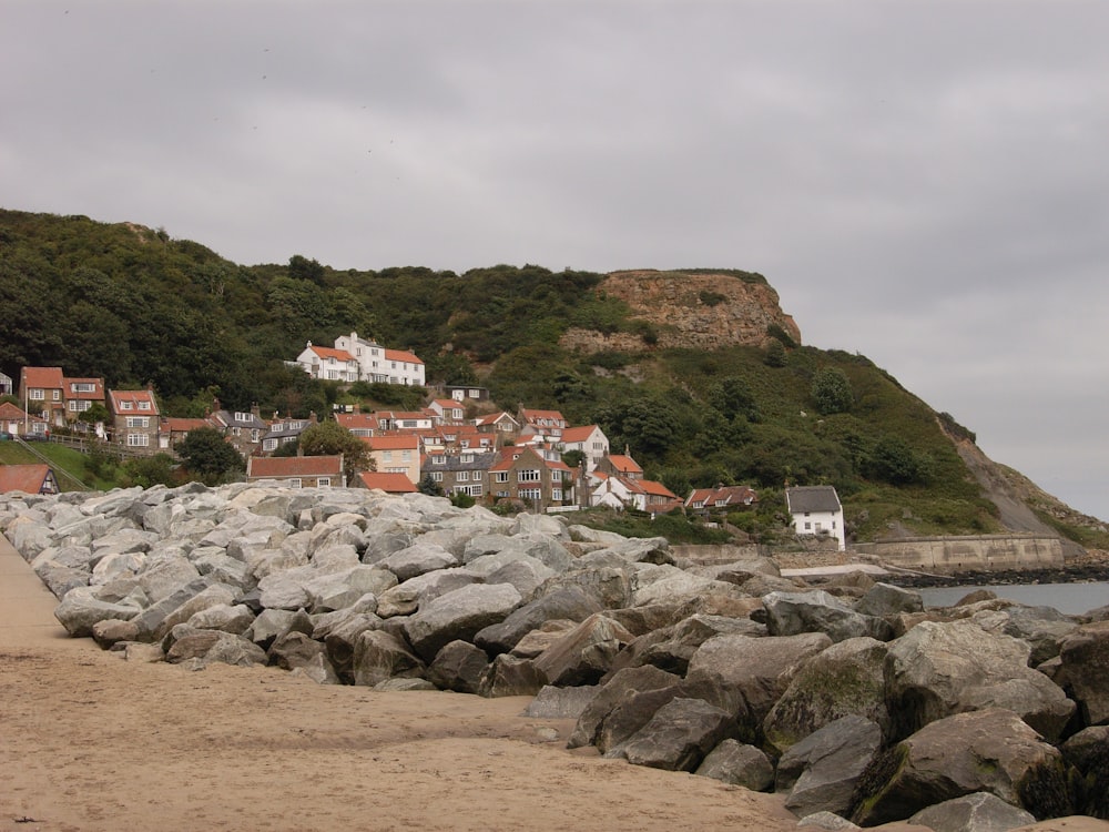 a rocky beach with houses on a hill in the background