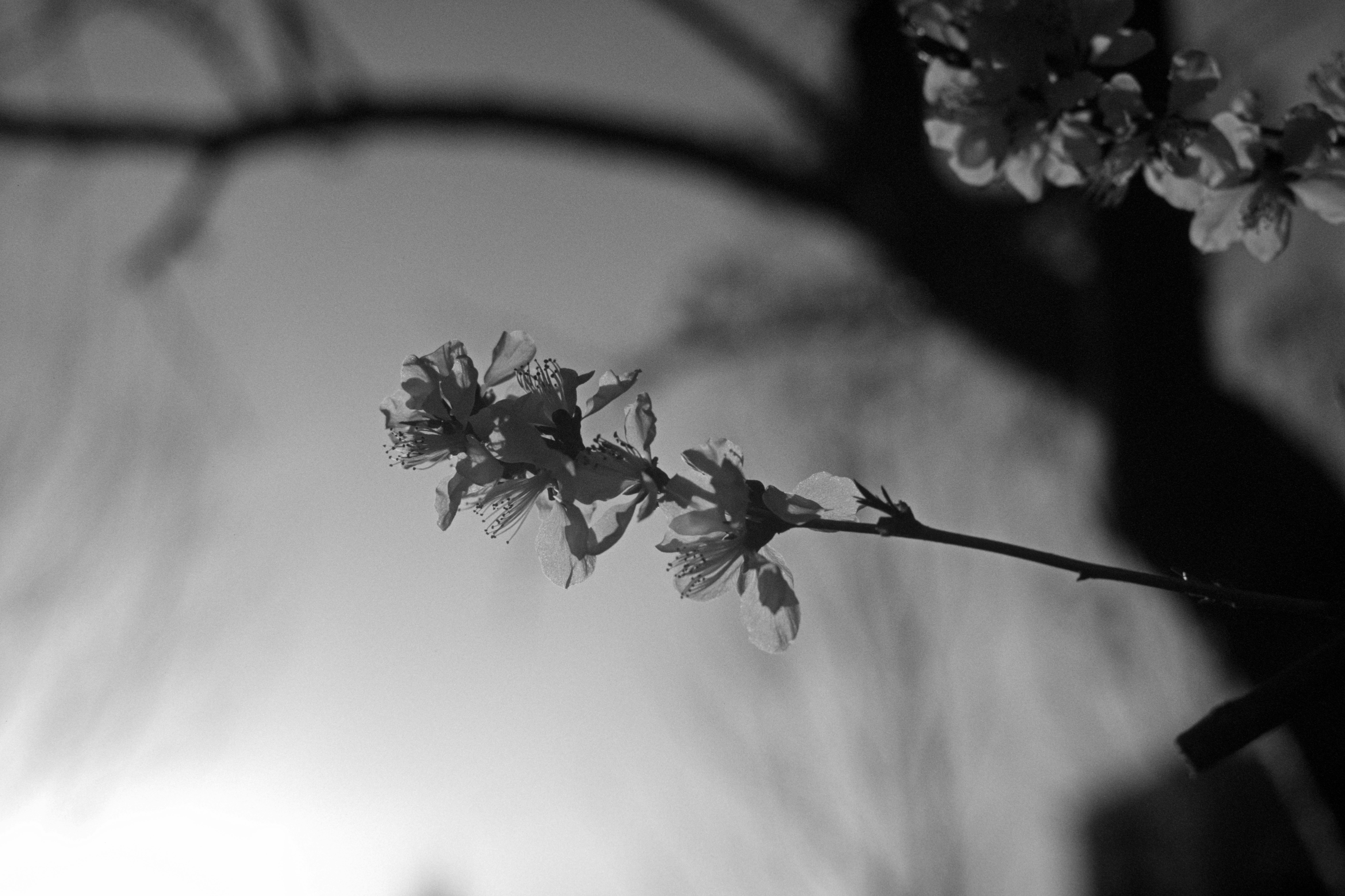 Photo by greedwolf97