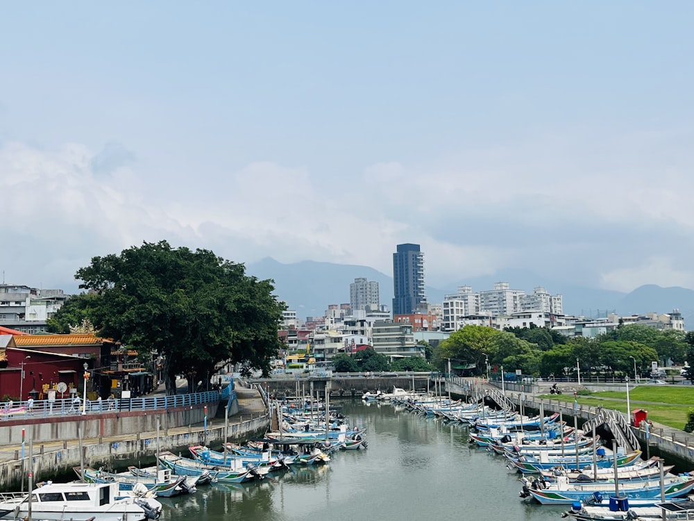 a harbor filled with lots of small boats