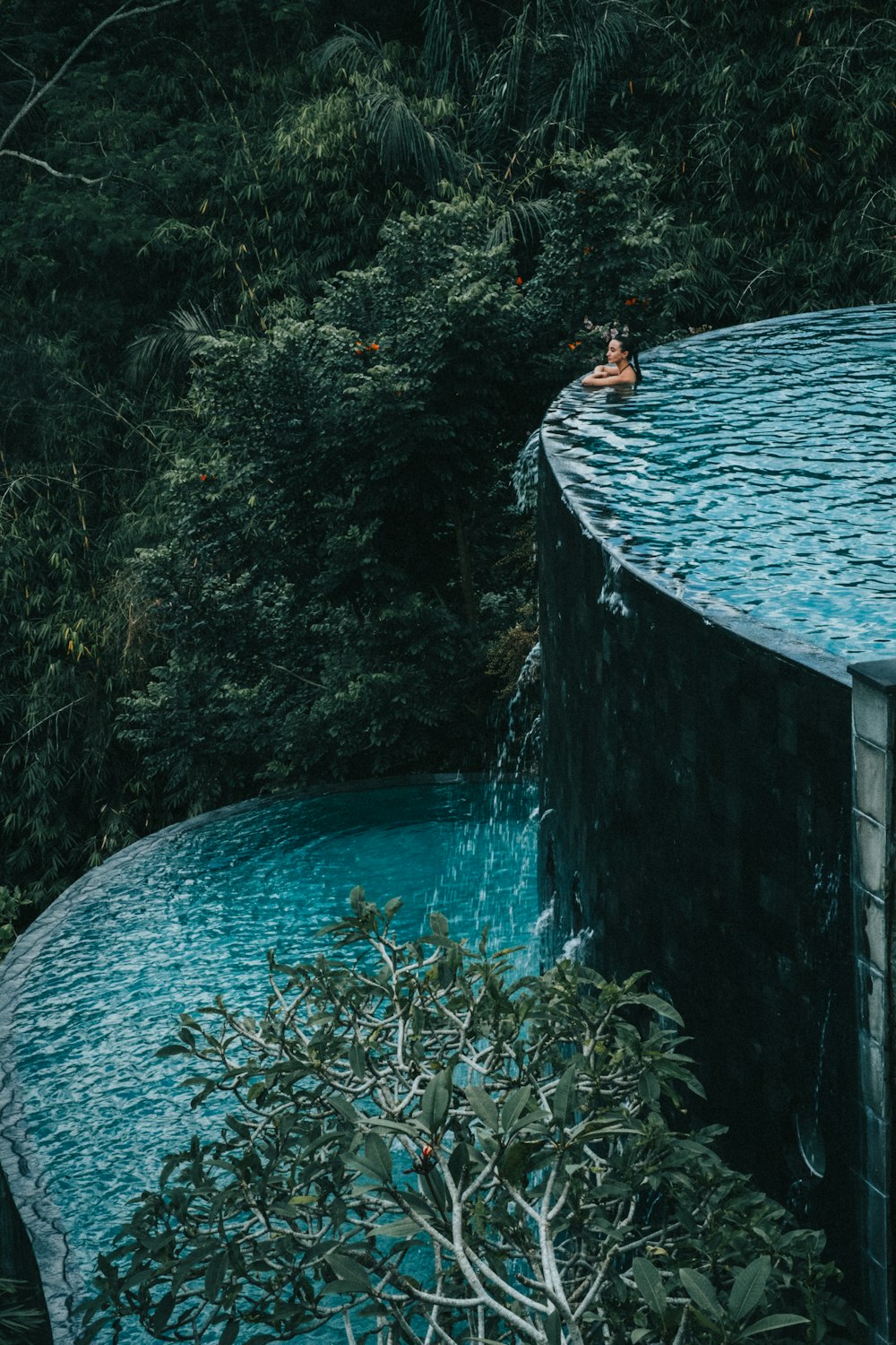 a man swimming in a pool surrounded by greenery