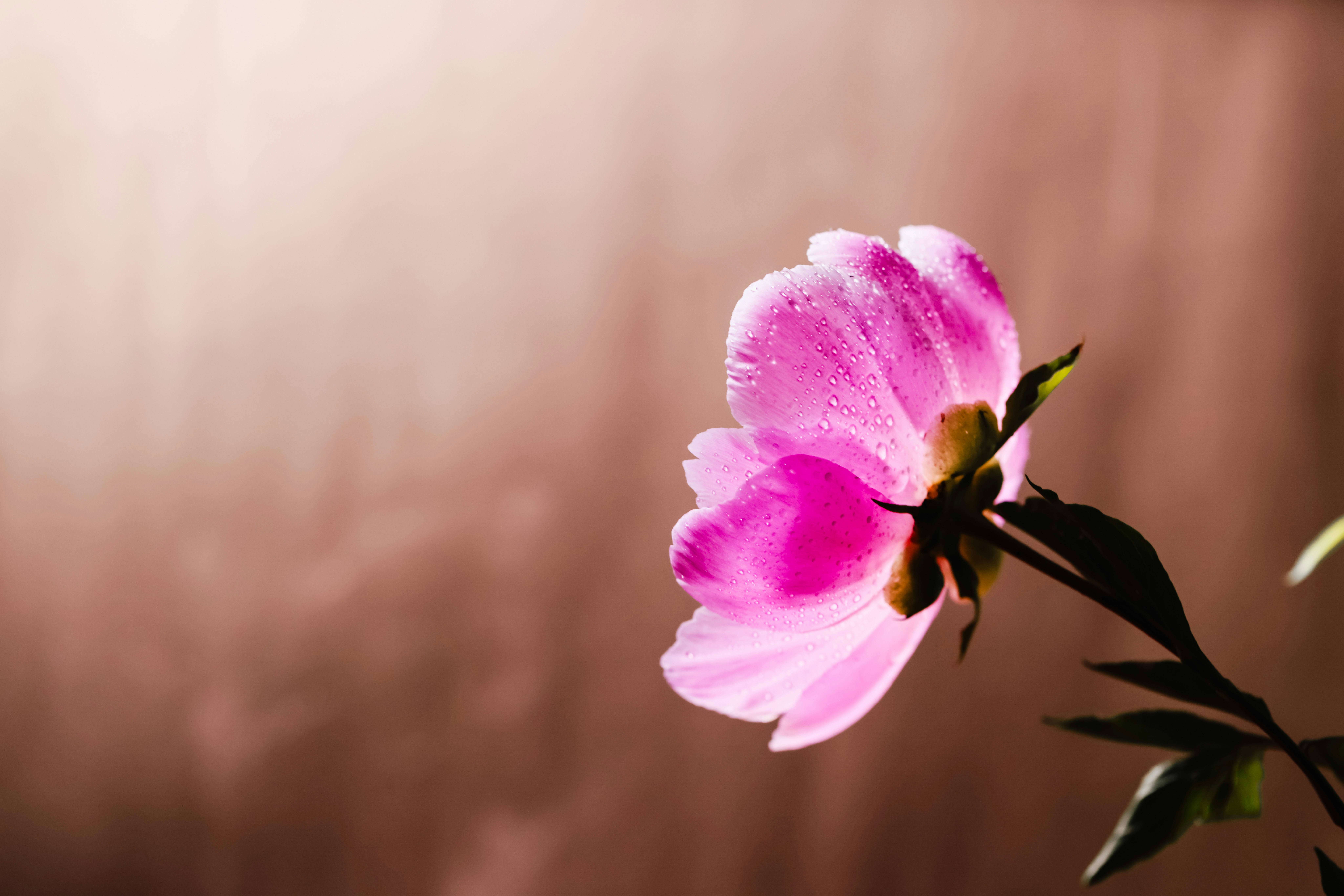 Photo by dickenslin76