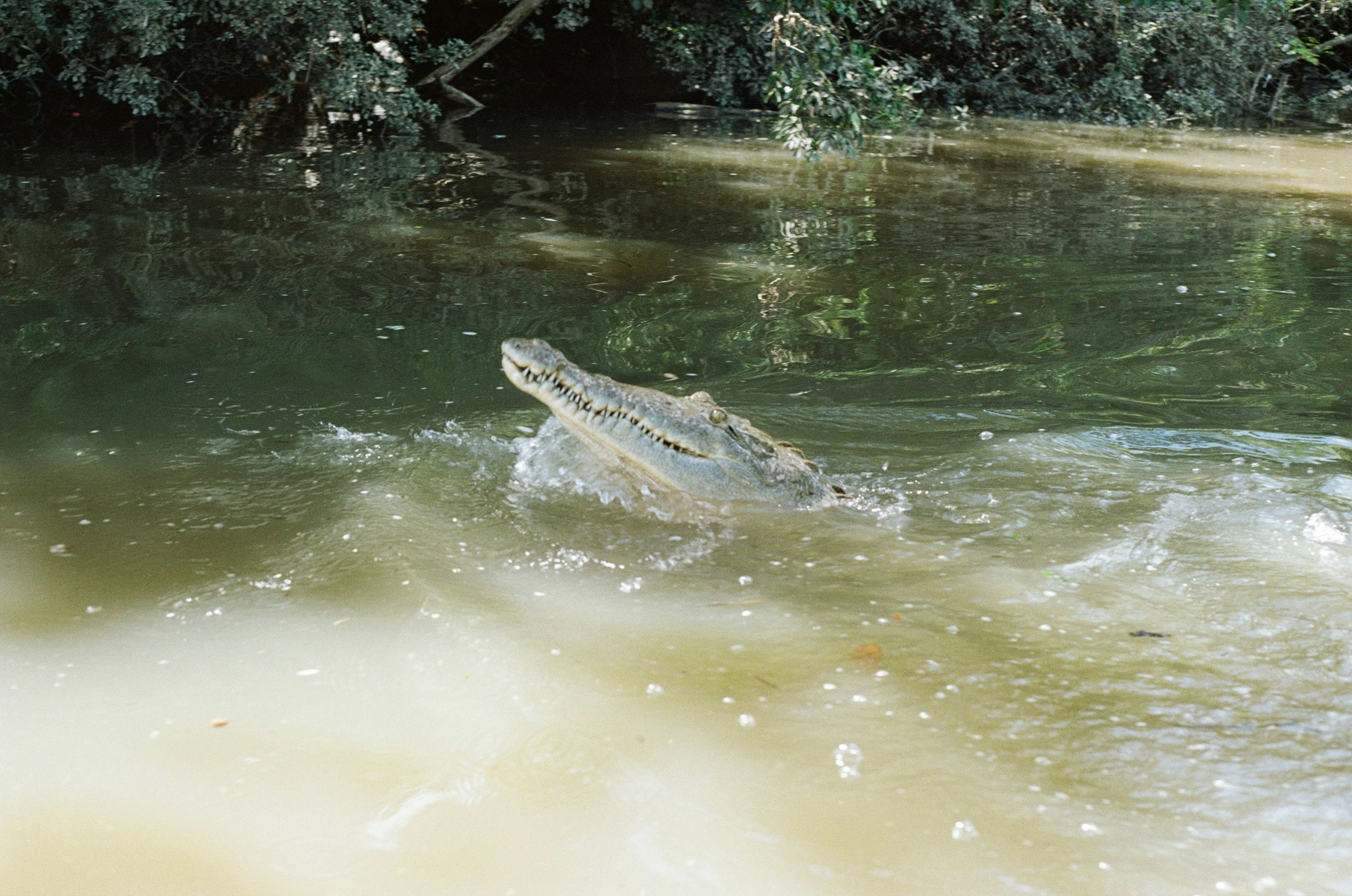 Photo by mkettelkamp