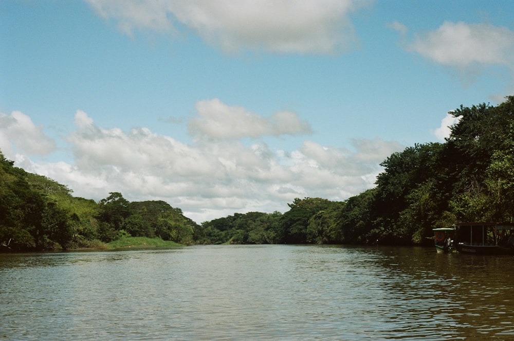 a body of water surrounded by trees and clouds