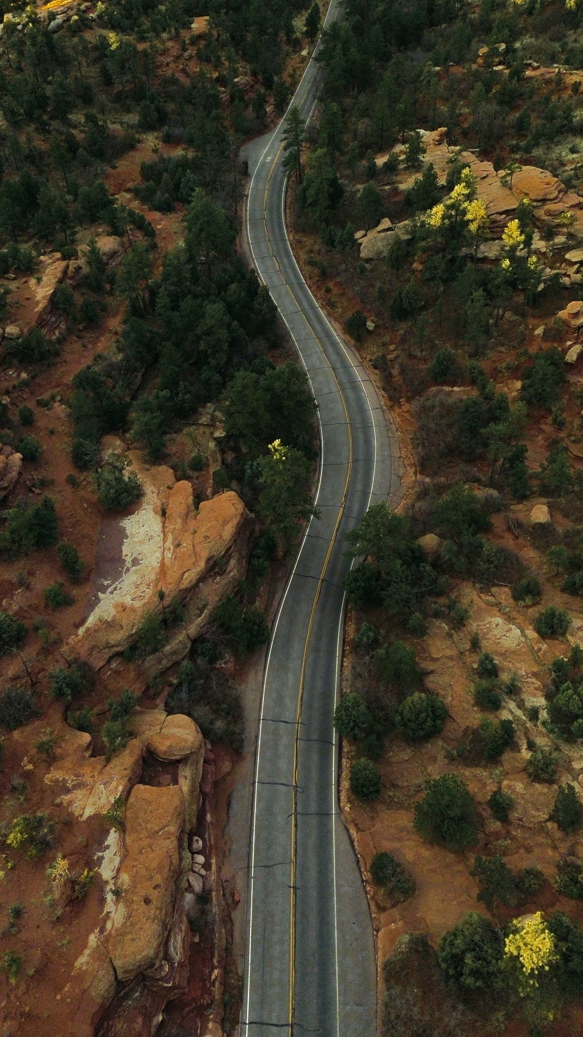 Photo by naturelensephotographer