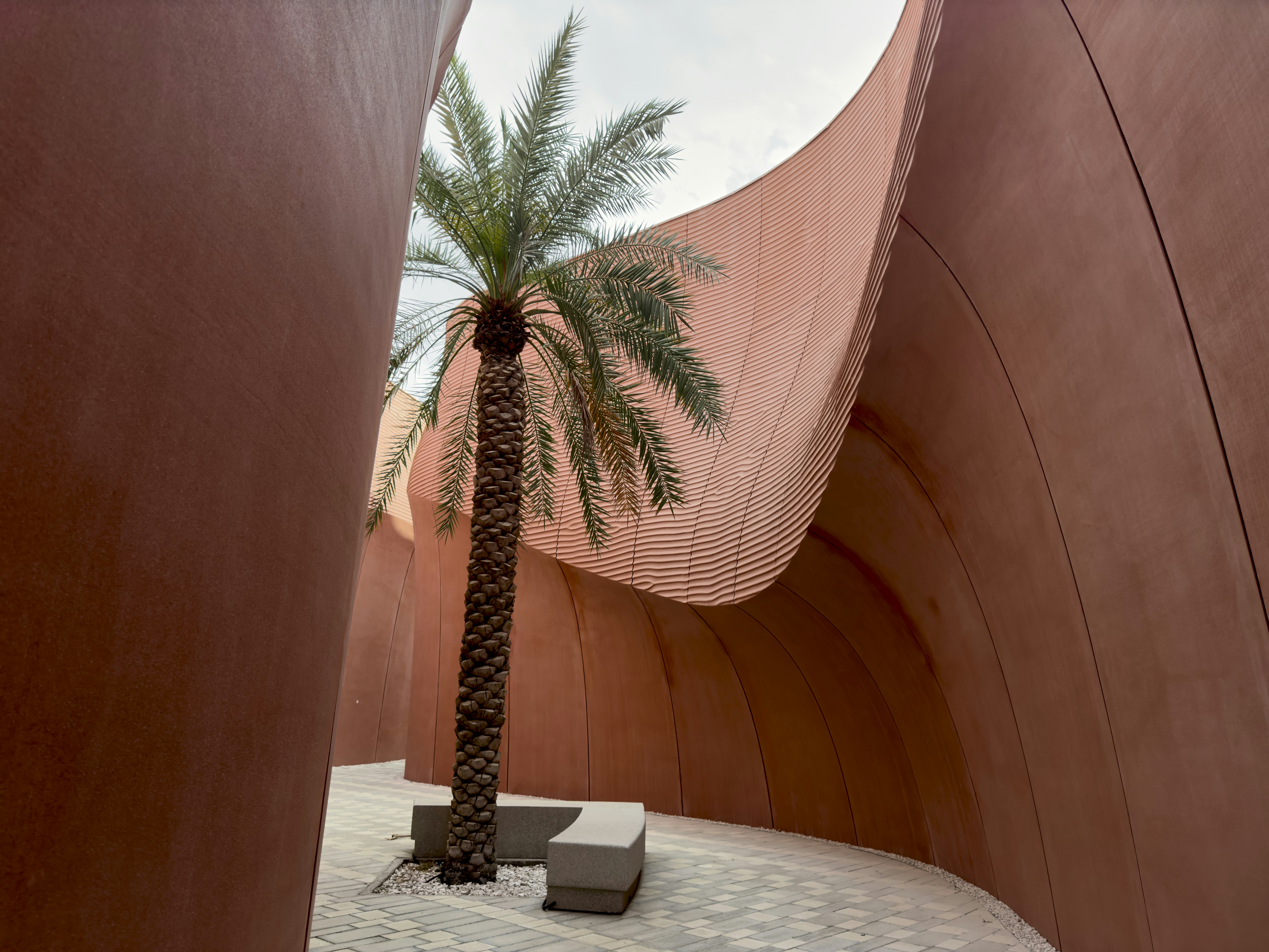 a palm tree in the middle of a courtyard