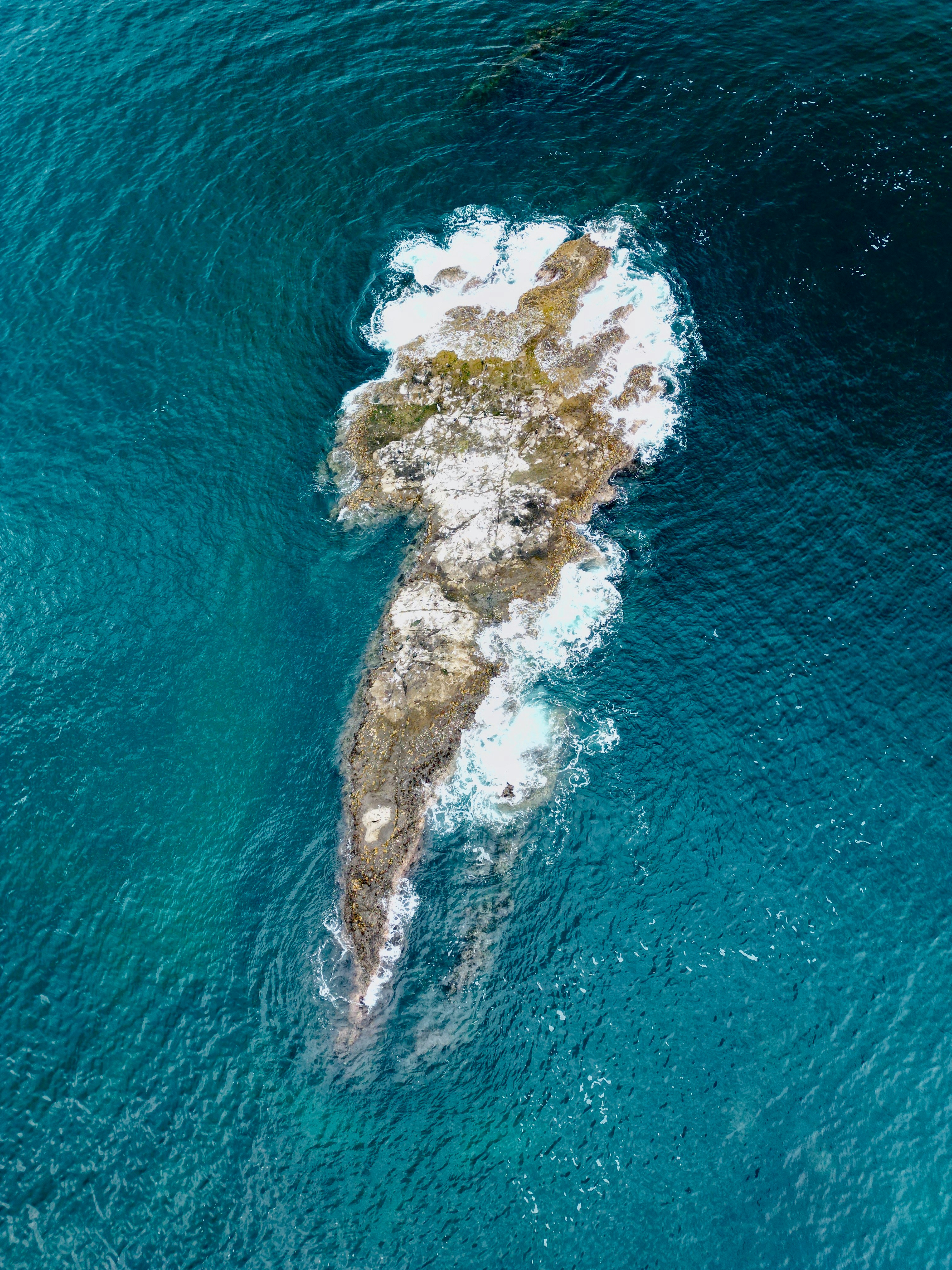 Photo by pandabeyond