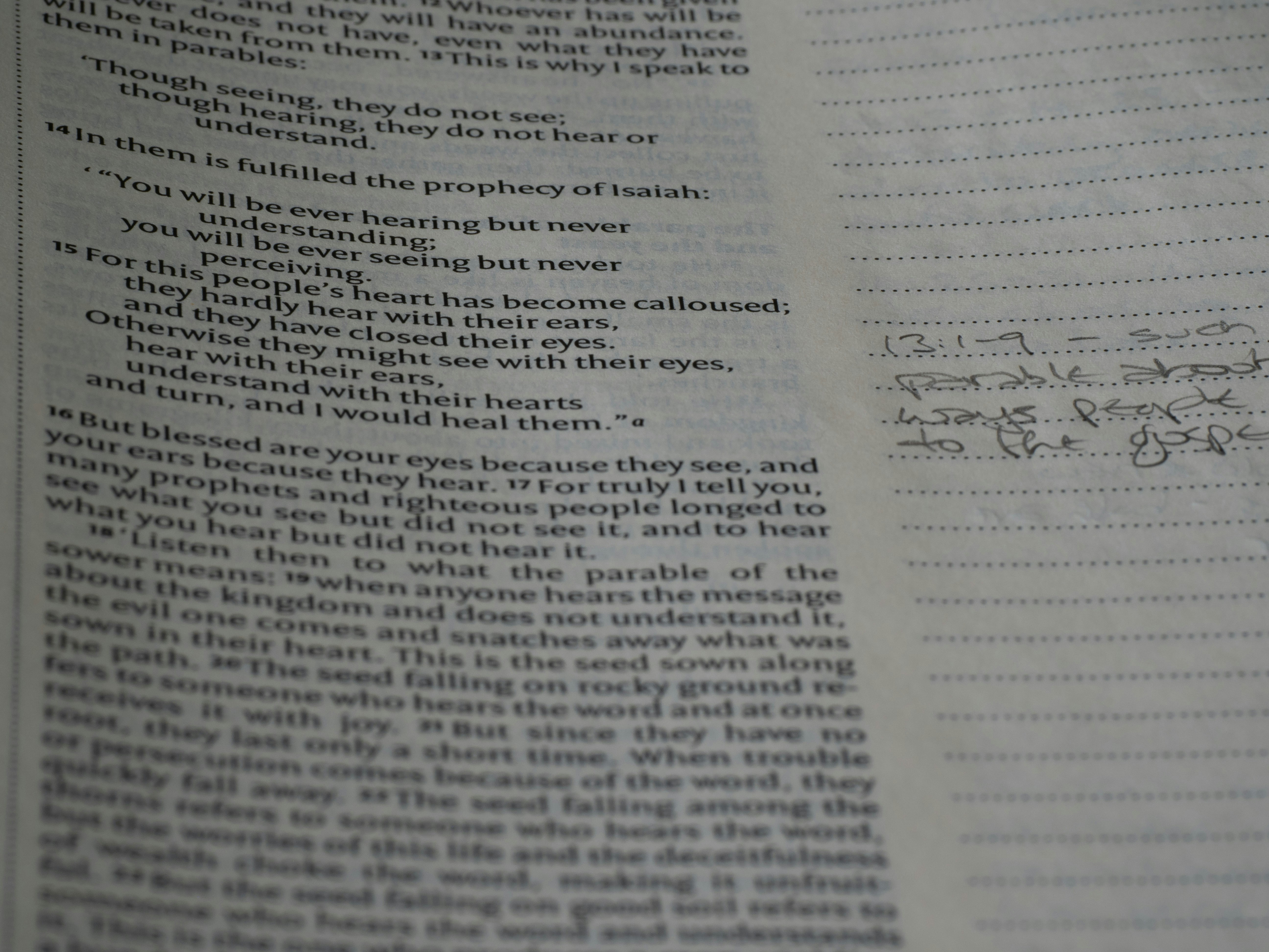 Unlocking Opportunities: How to Legalize Your Academic Transcripts for Study Abroad