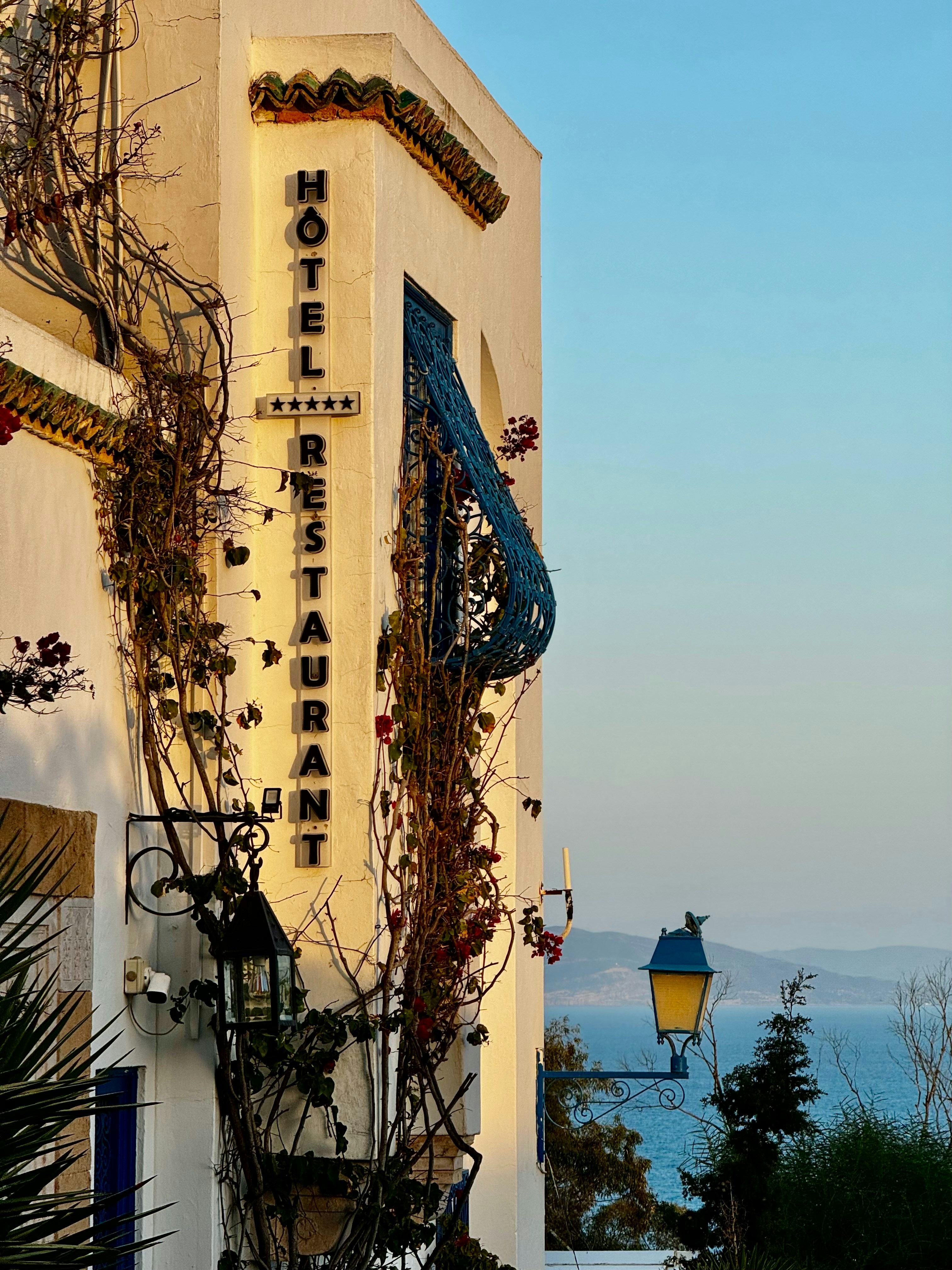 a building with vines growing on the side of it