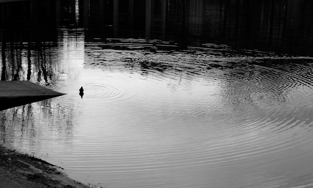 a person standing in the middle of a body of water