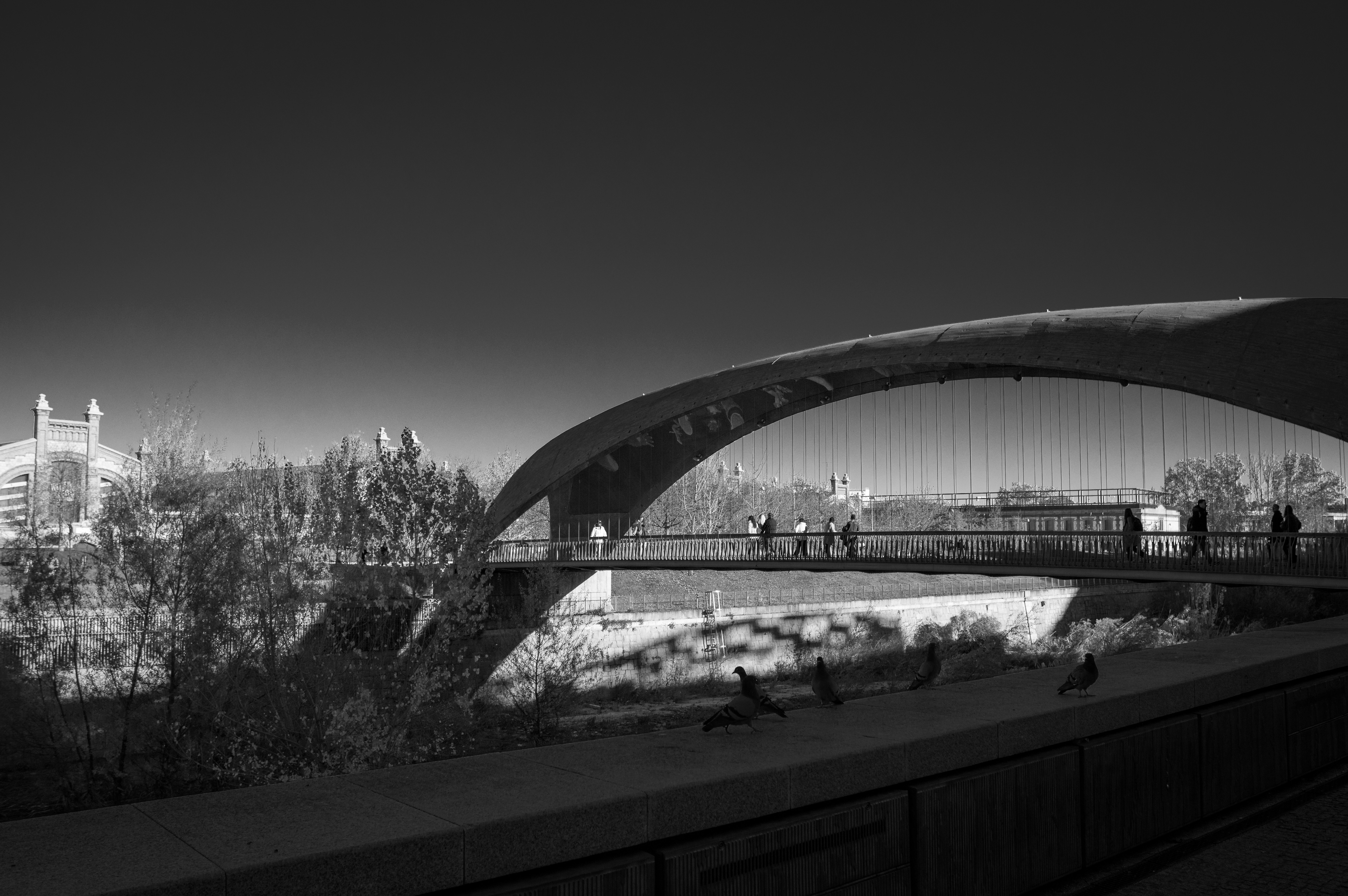 Photo by anibal_paradisi