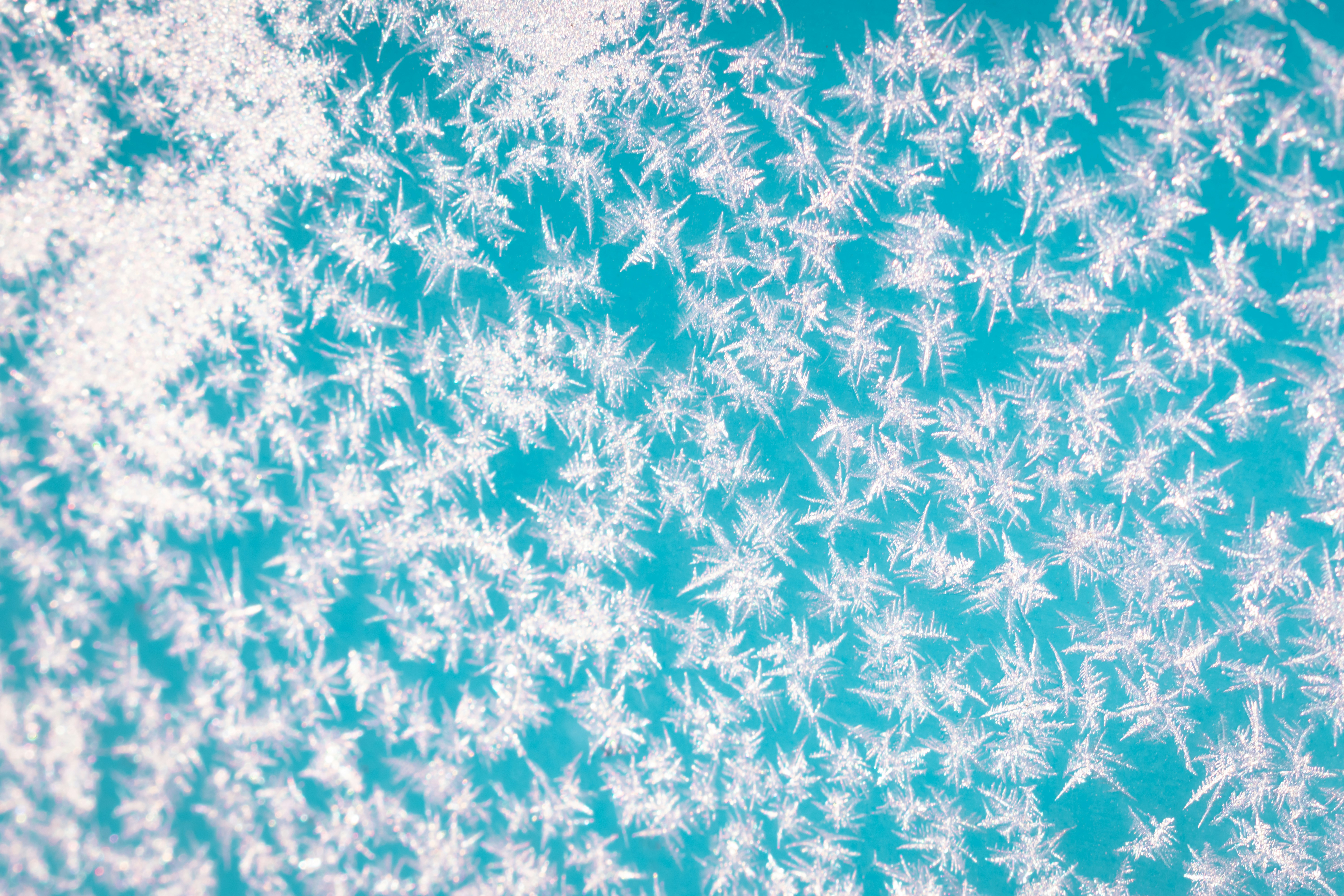 Photo by niki_emmert