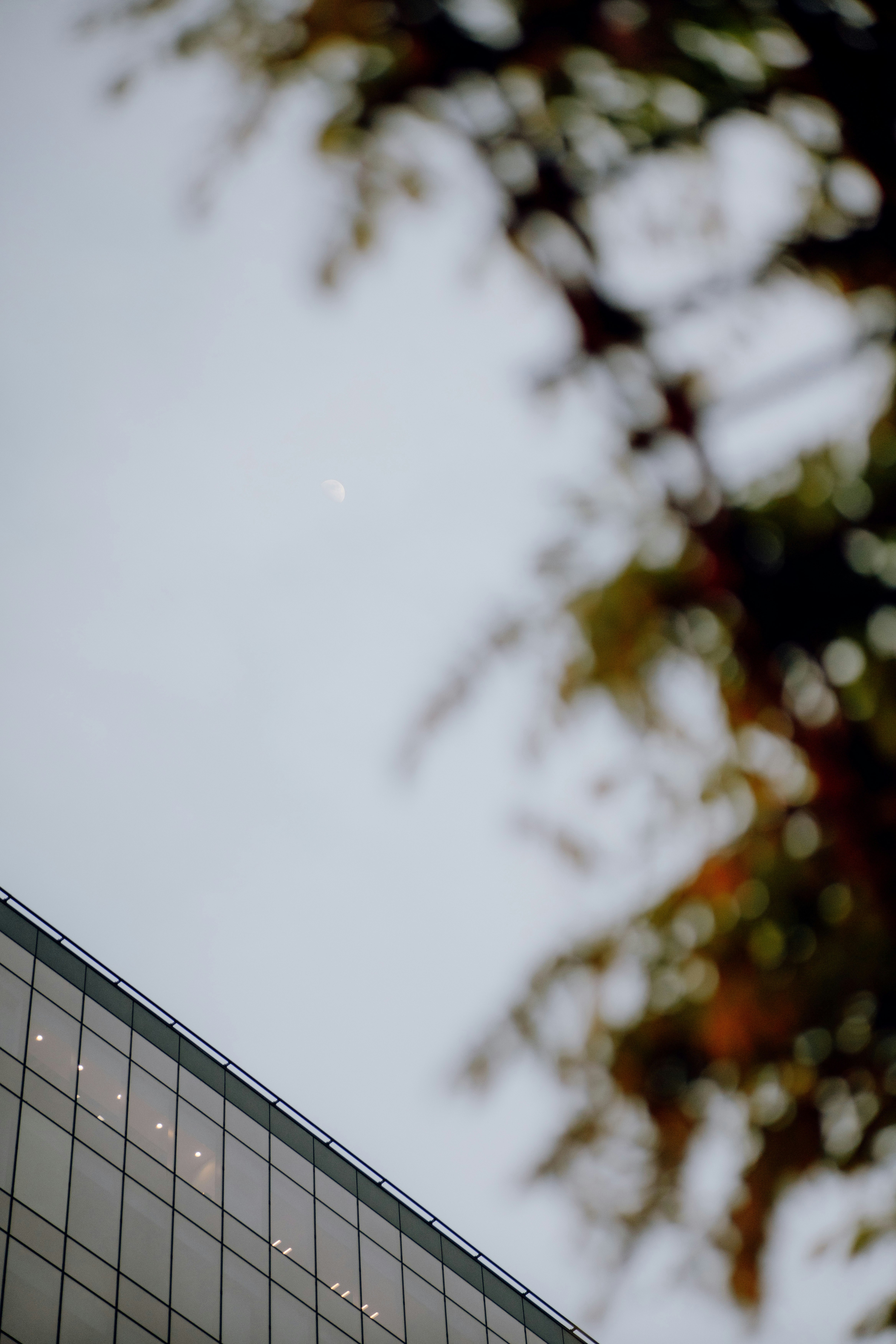 Photo by luisgherasim