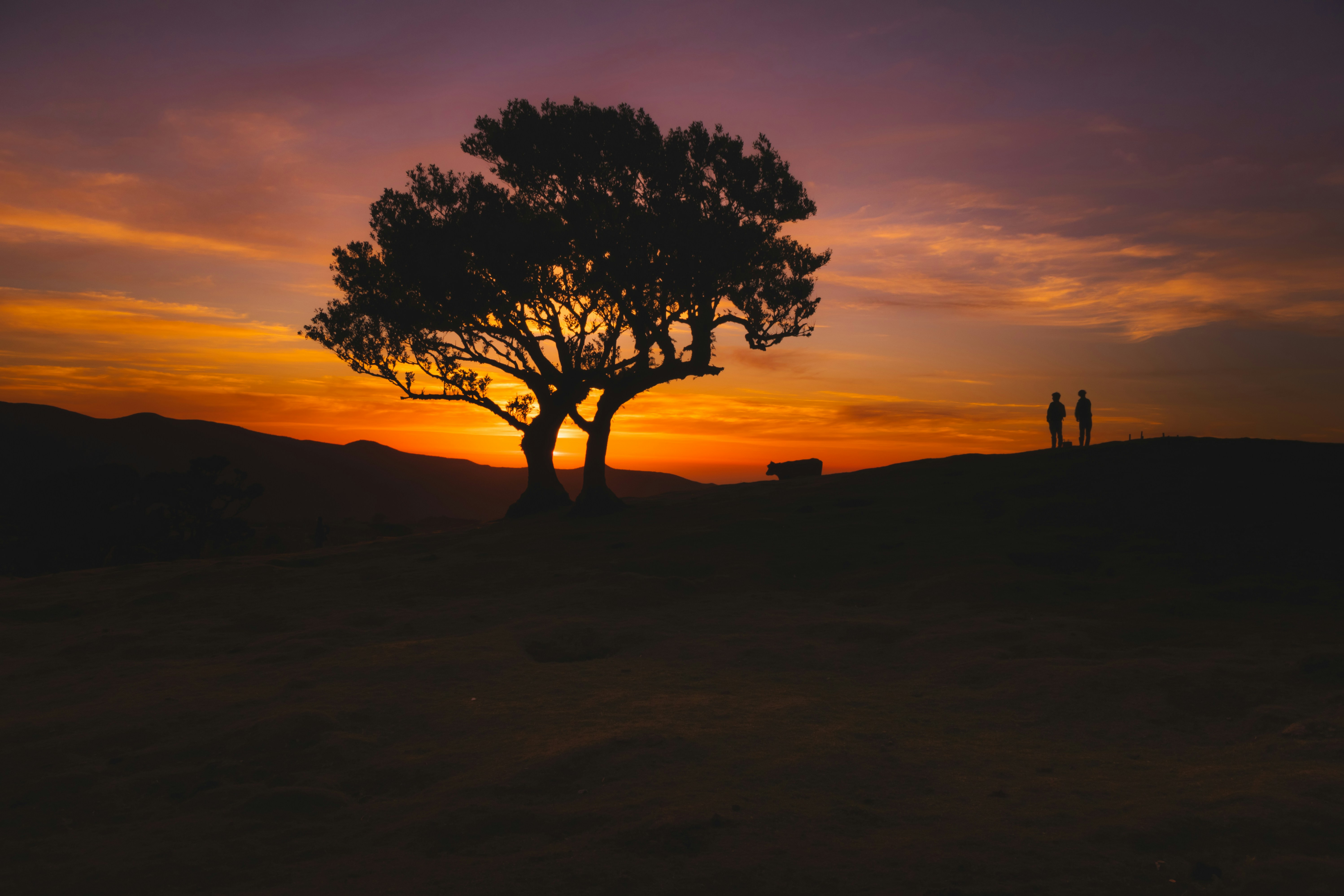 Photo by reinaldogaranito