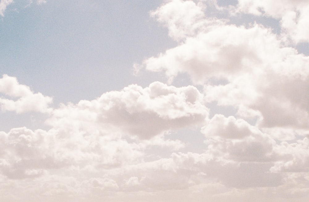 a group of people on a beach flying a kite