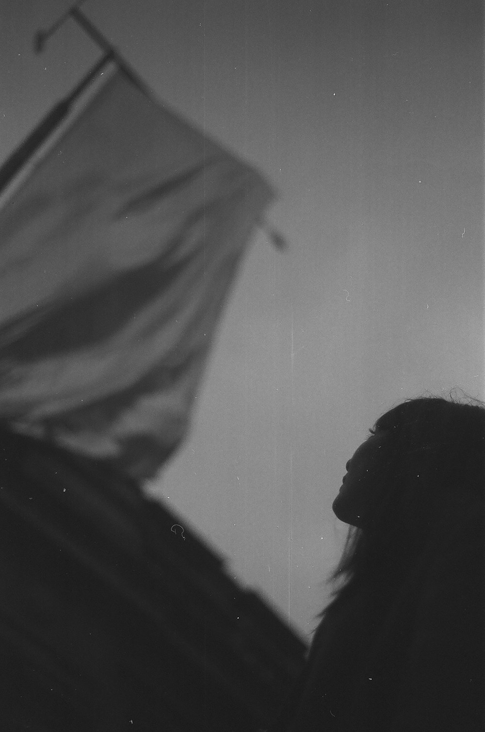 a black and white photo of a woman holding a flag