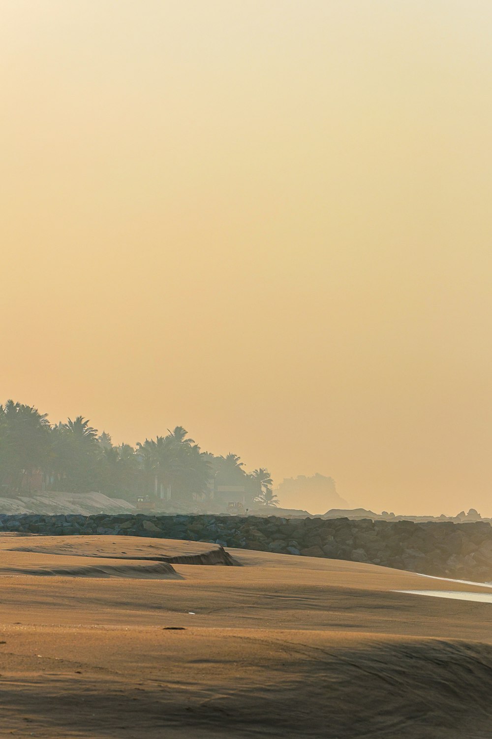 a person riding a horse on a beach