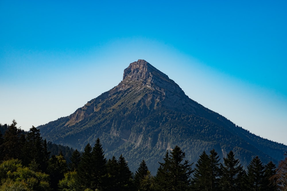 a large mountain with trees in front of it
