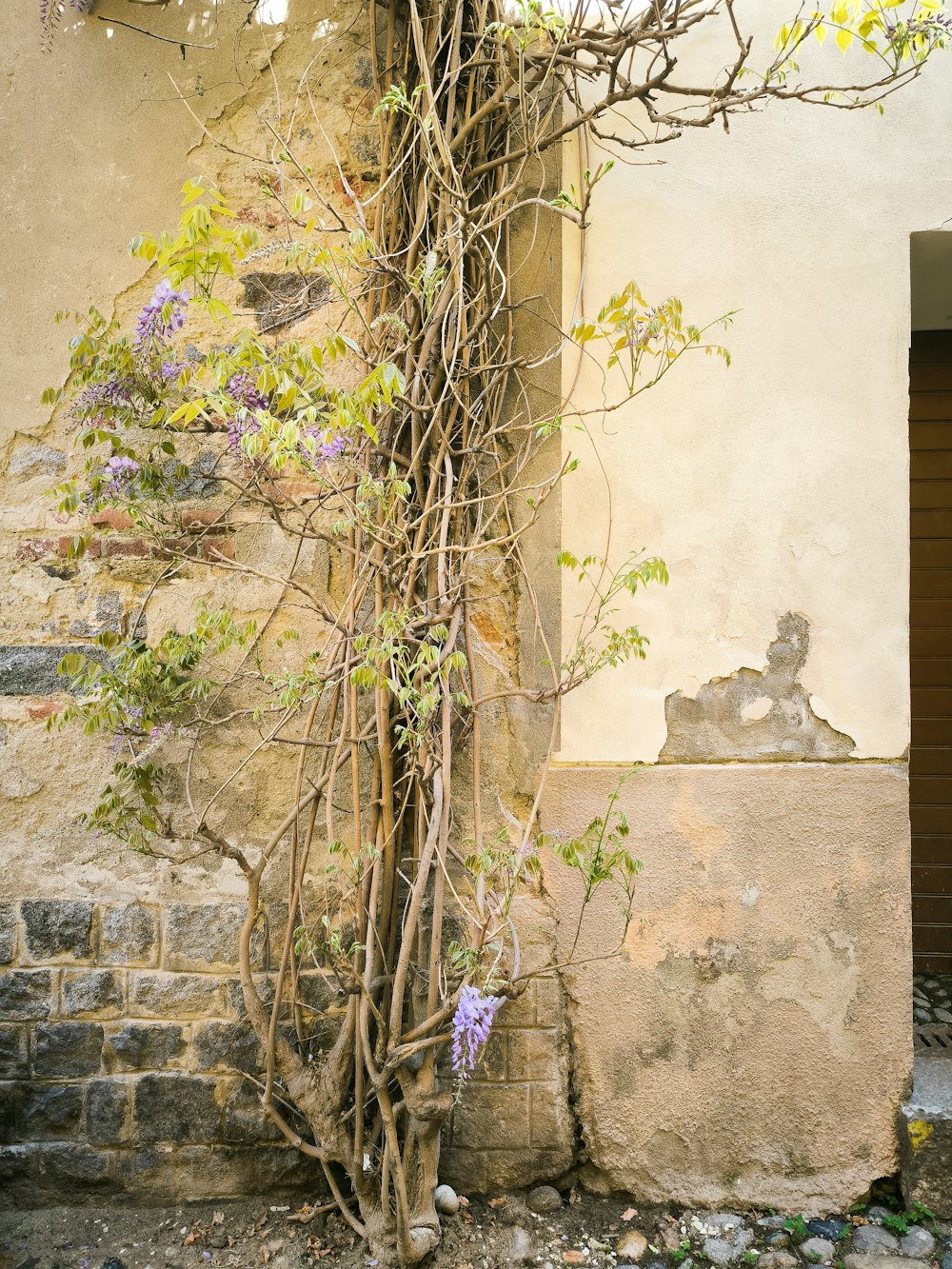 an old building with vines growing up the side of it